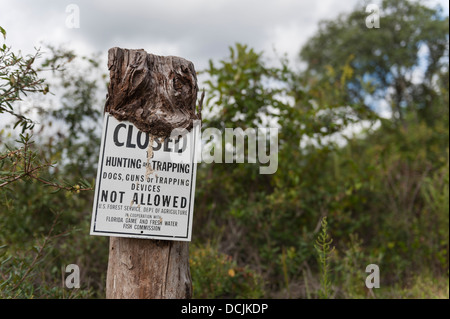 La Forêt nationale d'Ocala, Floride, pas de chasse, piégeage envahie posté panneau d'avertissement. Banque D'Images