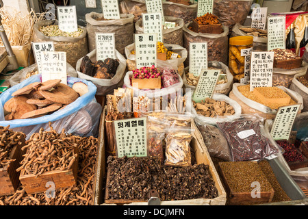 La médecine de fines herbes chinoise traditionnelle à vendre au marché de Séoul Banque D'Images