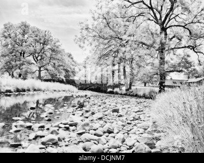 Infrarouge, River Wyre, Abbeystead, Lancashire, UK Banque D'Images