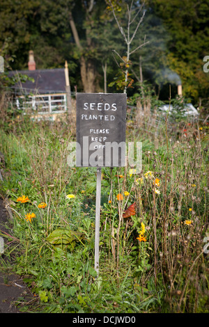 Nouvelles de Somerset et de Dorset, chemins de Midsomer Norton - un lit de semences plantées sur la colline au-dessus. Banque D'Images