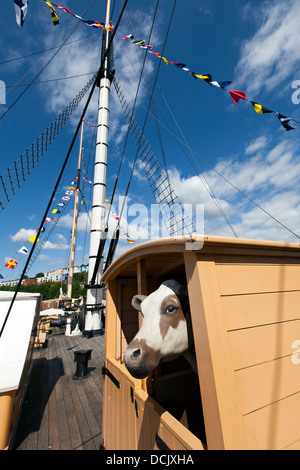 Modèle d'une vache sur le pont d'Isambard Kingdom Brunel's SS Great Britain de navire à vapeur. Bristol, Angleterre, Royaume-Uni. Banque D'Images