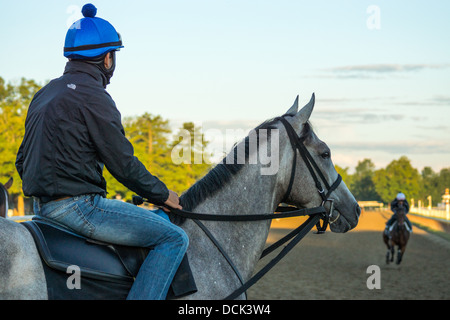 Le 4 août 2013. Saratoga Raceway, New York. Les chevaux de race Thoroughbred effectuer le Training à l'Ohio Piste de formation. Banque D'Images