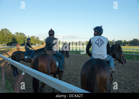 Le 4 août 2013. Saratoga Raceway, New York. Les chevaux de race Thoroughbred effectuer le Training à l'Ohio Piste de formation. Banque D'Images