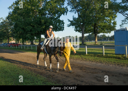 Le 4 août 2013. Saratoga Raceway, New York. Course de chevaux pur-sang après exercices du matin à Washington la voie de formation. Banque D'Images