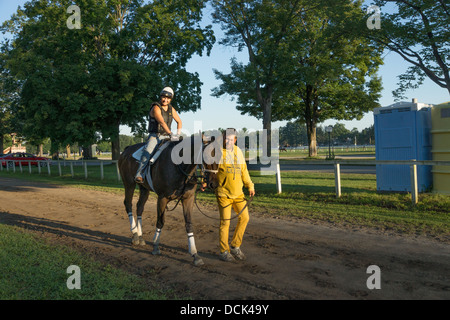 Le 4 août 2013. Saratoga Raceway, New York. Course de chevaux pur-sang après exercices du matin à Washington la voie de formation. Banque D'Images