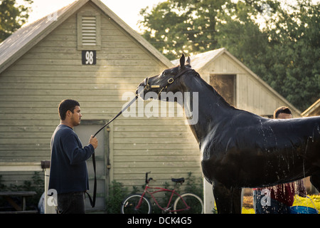 Le 4 août 2013. Saratoga Raceway, New York. Cheval de course pur-sang damées après exercices du matin à Washington la voie de formation. Banque D'Images