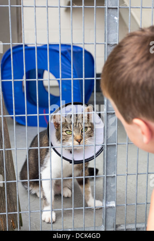 La RSPCA Blackberry Farm Animal Center - Waddesdon - Buckinghamshire Banque D'Images