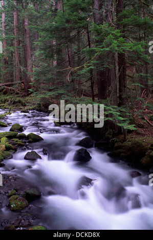 Pamelia Creek, Mt Jefferson Wilderness, forêt nationale de Willamette, Oregon Banque D'Images