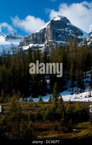 Les pics de Wenkchemna Larch Valley Trail, Banff National Park, Alberta, Canada Banque D'Images