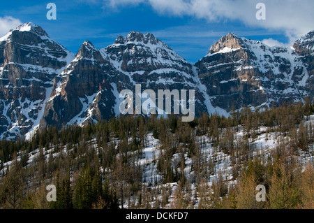 Les pics de Wenkchemna Vallée Larch, Banff National Park, Alberta, Canada Banque D'Images