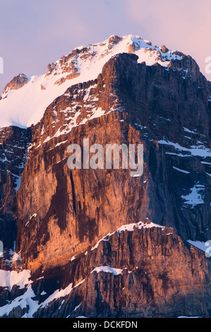 Les pics de Wenkchemna Larch Valley Trail, Banff National Park, Alberta, Canada Banque D'Images