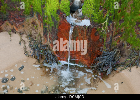 La fonction naturelle de l'eau, sur la plage, west runton, Norfolk, Angleterre Banque D'Images