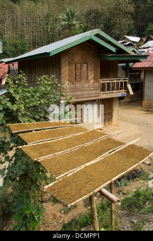 Vue verticale d'une traditionnelle maison en bois demi-tabac séchage à l'extérieur dans un village près de Vang Vieng. Banque D'Images