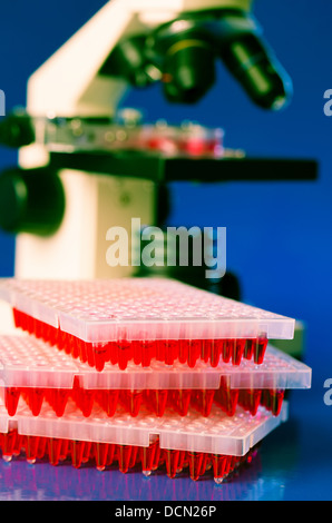 Plaques 96 puits sur la table de laboratoire avec des échantillons de liquide rouge et microsco Banque D'Images