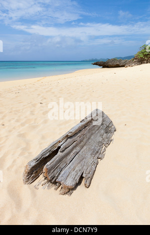 Grand morceau de bois flotté sur une magnifique plage de sable blanc de l'Île Ishigaki, Okinawa Prefecture, Japan. Banque D'Images