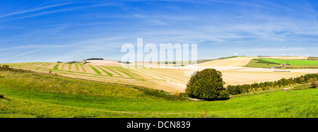 Vue panoramique sur les terres agricoles avec des bâtiments de ferme au loin. Prise sur le Malborough Downs dans le Wiltshire, UK Banque D'Images