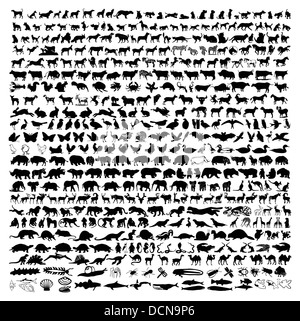 Silhouettes animales Banque D'Images