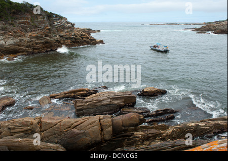 Excursion en bateau dans la tempête, la Gorge de la rivière Garden Route, Tsitsikamma National Park, Afrique du Sud Banque D'Images