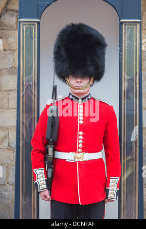 Soldat dans la garde de la Reine au château de Windsor, en Angleterre, se tenant à l'attention dans une guérite en uniforme rouge et noir traditionnel cap bearskin ou busby Banque D'Images