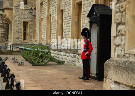 Garde dans la Tour de Londres, Angleterre Banque D'Images