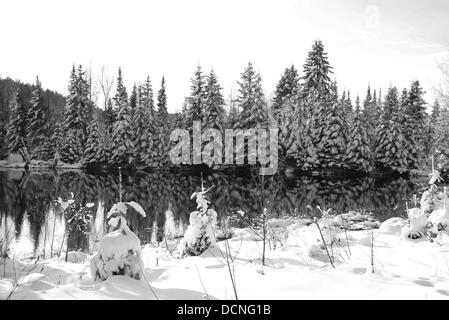 Scène d'hiver à l'étranger un lac au Québec, Canada, noir et blanc photo Banque D'Images