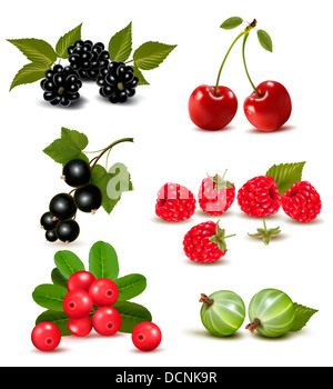 Grand groupe de baies fraîches et de cerises. Vector illustration Banque D'Images