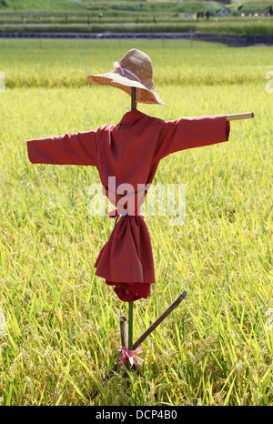 Épouvantail sur le champ de riz en Asie Banque D'Images