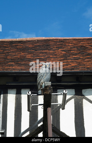 Le Legacy Falcon Hotel sculpture chouette perchée sur leur panneau. Chapel Street, Stratford upon Avon, Warwickshire, Angleterre Banque D'Images