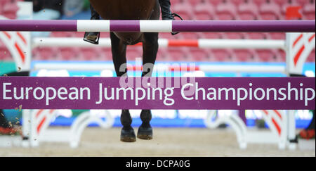 Herning, Danemark, Allemagne. 20e Août 2013. Un cheval saute par dessus un obstacle lors de la FEI European Championships à Herning, Danemark, Allemagne, 20 août 2013. Photo : Jochaen Luebke/dpa/Alamy Live News Banque D'Images