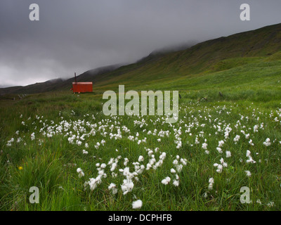 Refuge d'urgence, Brunavík, Islande Banque D'Images