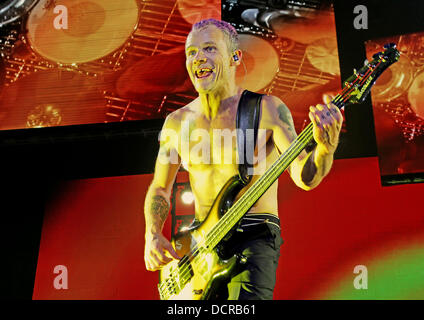 Michael Balzary alias Flea des Red Hot Chili Peppers d'effectuer à la Manchester MEN Arena. Manchester, Angleterre - 14.11.11 Banque D'Images