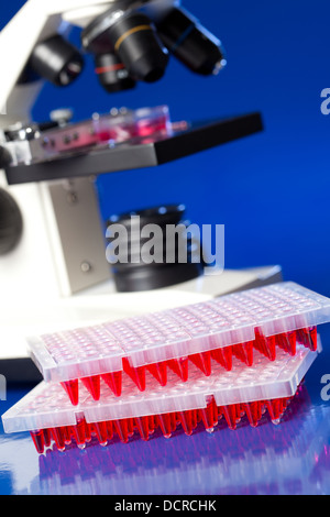 Plaques 96 puits sur la table de laboratoire avec des échantillons de liquide rouge Banque D'Images