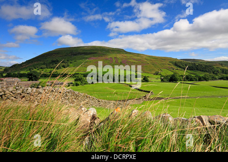 Kisdon colline au-dessus de Thwaite dans Swaledale, Yorkshire du Nord, Yorkshire Dales National Park, England, UK. Banque D'Images