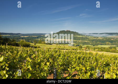 Vignobles près de la colline de Vézelay dans l' Yonne domaine de Bourgogne. Banque D'Images