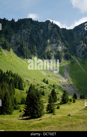 La Combe de Graydon alpages au pied du Roc d'Enfer les montagnes, entourée de falaises abruptes et Banque D'Images