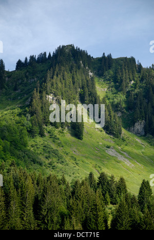 La Combe de Graydon alpages au pied du Roc d'Enfer les montagnes, entourée de falaises abruptes et Banque D'Images