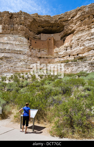 Tourist à Montezuma Castle National Monument, bien conservé demeure de falaise, tribue Sinagua près de Camp Verde, en Arizona, USA Banque D'Images