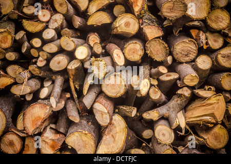 Tas de bois de sciage pour l'hiver. Contexte Banque D'Images