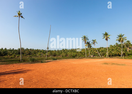 Forêt tropicale. L'Inde du Sud. L'État du Kerala Banque D'Images