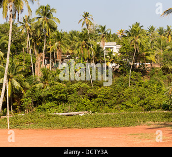 Forêt tropicale. L'Inde du Sud. L'État du Kerala Banque D'Images