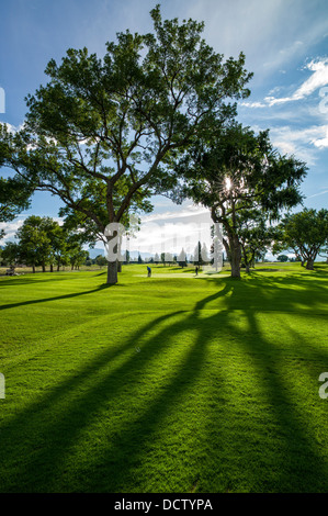 Vue en contre-jour de la lumière sur la fin de l'après-midi de golf luxuriants, Salida, Colorado, USA Banque D'Images