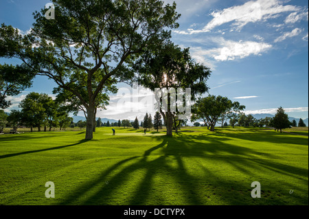 Vue en contre-jour de la lumière sur la fin de l'après-midi de golf luxuriants, Salida, Colorado, USA Banque D'Images