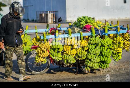 Le 4 janvier 2013 - Phnom Penh, Cambodge - Jan 4, 2013 - Des biens de toutes sortes sont transportés par deux roues. Ici les bananes font leur chemin sur le marché de la capitale cambodgienne de Phnom Penh...Histoire Résumé : Au milieu du rythme effréné de Phnom PenhÌ severnãƒ les rues de la ville, une véritable bête de transport pour les personnes et les marchandises qui émerge, vélos, motos, scooters, mobylettes, et motodups Tuk Tuks errent à la place des voitures et des camions. Près de 90  % des véhicules sur la capitale cambodgienne de près de 2,3 millions de personnes choisissent ces pour se déplacer. La congestion et l'environnement à la fois profiter de la petite taille un Banque D'Images