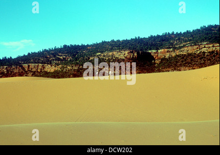 Coral Pink Sand Dunes State Park, près de Kanab, Utah, USA. Banque D'Images