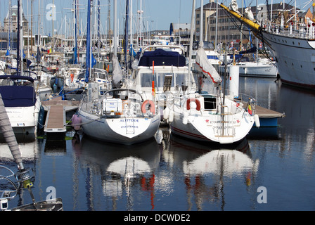 Yachts amarrés dans la marina, Ostende, Anvers, Belgique, Europe de l'Ouest. Banque D'Images