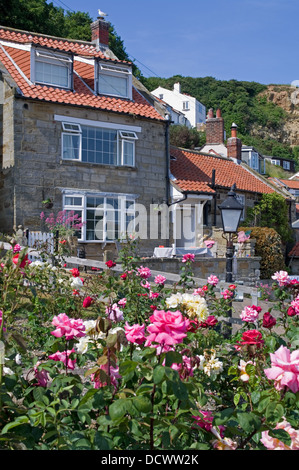 Gîtes traditionnels en pierre avec toit de tuiles rouges à Runswick Bay, Rose Garden en premier plan, North Yorkshire Angleterre UK Banque D'Images