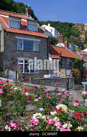 Gîtes traditionnels en pierre avec toit de tuiles rouges à Runswick Bay, Rose Garden en premier plan, North Yorkshire Angleterre UK Banque D'Images