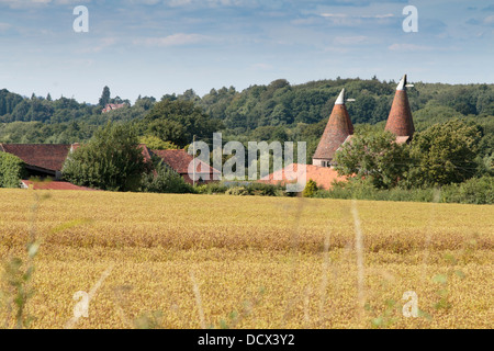 Oast maisons dans la campagne du Kent Banque D'Images