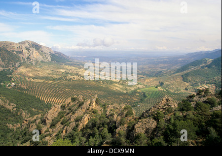 Vue depuis la tour d'infant Don Enrrique, Jaén, Espagne Banque D'Images