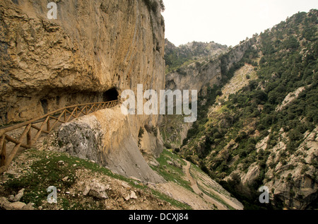 Tunnel à Picón del Haza, vallée de la rivière Borosa, Parc Naturel de Cazorla, Segura y las Villas, Jaén, Espagne Banque D'Images